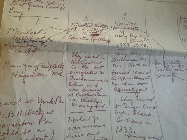 Red-ink four-generation lineage in columns